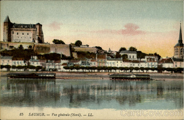 Vue Generale Saumur France