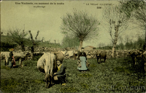 Une Vacherie, Au Moment De La Traite Au Paturage France