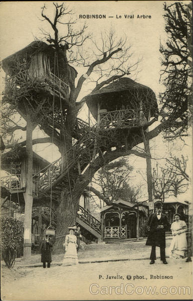 Robinson Le Vral Arbre France