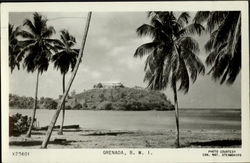 Grenada B. W. I Caribbean Islands Postcard Postcard