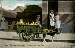 Laitieres belges Livraison du lait Postcard