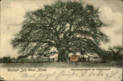 West Africa, Namibia? Postcard