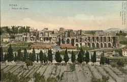 Palazzo Del Cesari Postcard