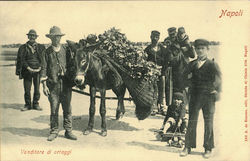 Venditore Di Oriaggi Postcard