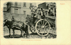 Carro E Reccoglitore D'immondizie Postcard