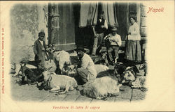 Venditore Di Latte Di Capra Postcard