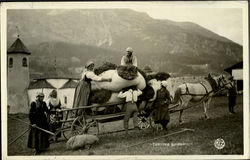 Cortina Dintorni Postcard