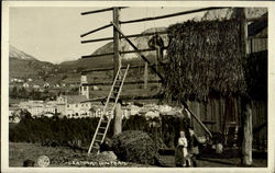 Cornina Dintorni Postcard