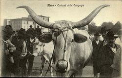 Costumi Delle Campagne Postcard