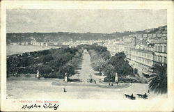 Napoli - Villa Naziouale Postcard