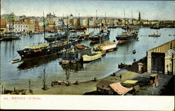 Napoli LL Porto Postcard