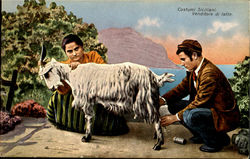 Costumi Siciliani Venditore Di Latte Postcard