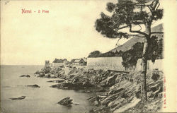 Nervi - Jl Pino Postcard