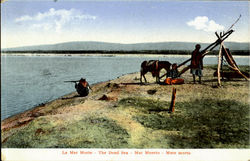 The Dead Sea Postcard