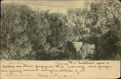 Anapo C Papirus Postcard