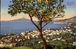 Sorrento Vesuvio Postcard