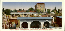 Palatino Postcard