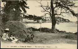 The Creek Of The Prieure's Postcard