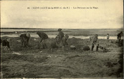 Saint Jacut De La Mer Postcard