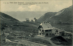 Petit Saint Bernard Postcard