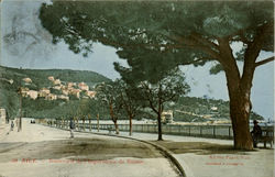 Boulevard De Flmpertrice De Russie Nice, France Postcard Postcard