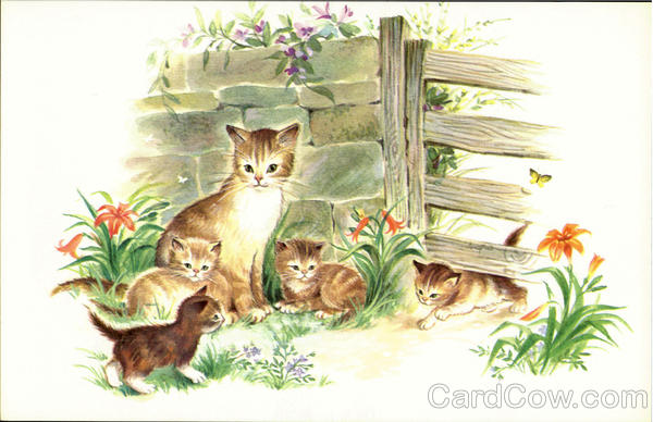 Family of Cats