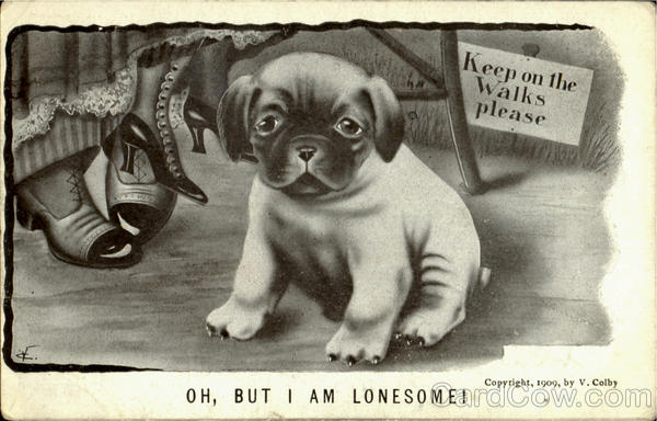 Keep On The Walks Please Dogs