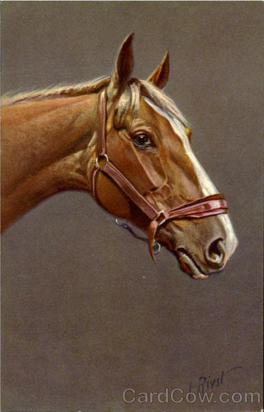 Horse Rivst Horses