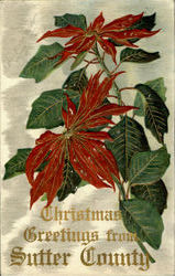 Stock #87823 Thumbnail