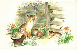 Family of Cats Postcard Postcard