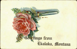 Greetings From Ekalaka Montana Postcard Postcard