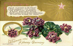 February Wishing You A Happy Birthday Postcard
