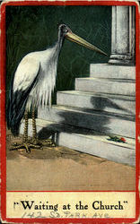 Stork Waiting At The Church Postcard
