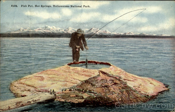 Fish Pot, Yellowstone National Park Hot Springs