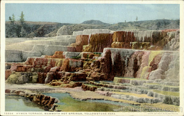 Hymen Terrace, Yellowstone Park Mammoth Hot Springs Wyoming