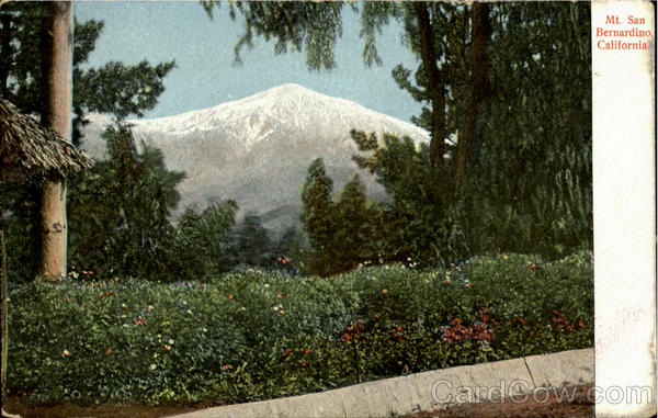 Mt. San Bernardino Scenic California