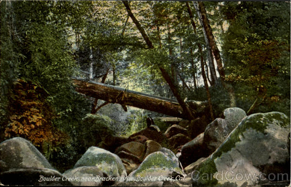 Boulder Creek, Bracken Brae California