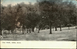 City Park Postcard