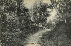 Top Of The Gorge Road Cedar Falls, IA Postcard Postcard