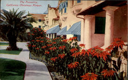The Poinsettia Postcard