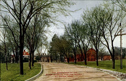 The Approach To The State Hospital For The Insane St. Peter, MN Postcard Postcard