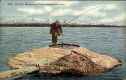 Fish Pot, Yellowstone National Park Postcard