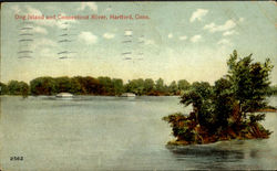 Dog Island And Connecticut River Postcard