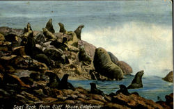 Seal Rock From Cliff House Postcard