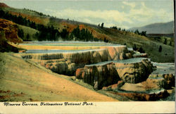 Minerva Terrace, Yellowstone National Park Postcard