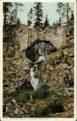 Natural Bridge, Yellowstone Park Postcard