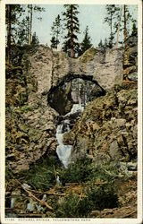 Natural Bridge, Yellowstone Park Wyoming Yellowstone National Park Postcard Postcard