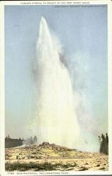 Old Faithful, Yellowstone Park Wyoming Yellowstone National Park Postcard Postcard