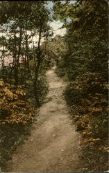 Indian Trail Along The Genesee River, Maplewood Park Postcard