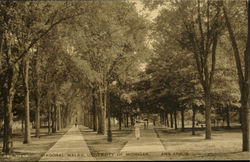 Diagonal Walks, University Of Michigan Postcard